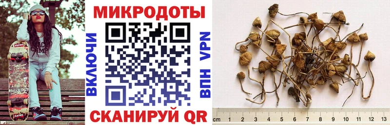 Псилоцибиновые грибы GOLDEN TEACHER Тавда