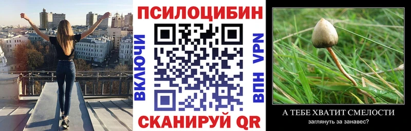 Псилоцибиновые грибы Psilocybine cubensis Тавда