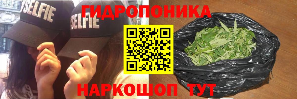 Бошки марихуана план Тавда